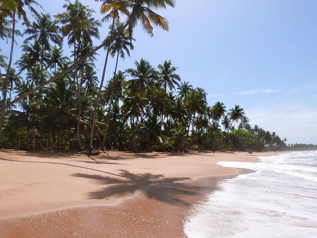 Ankobra Beach Resort Axim Exterior photo